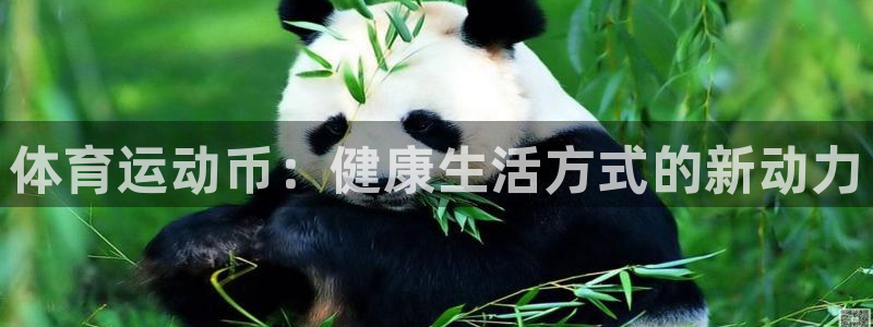 3377体育官方正版app娱乐平台:体育运动币:健康生活方式